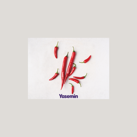 Turkse Keuken in Nederland: Authentieke Smaken Met Eén Klik Bij Jou Thuis